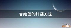 吉娃莲的扦插方法