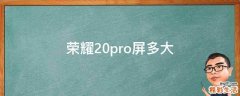 荣耀20pro屏多大