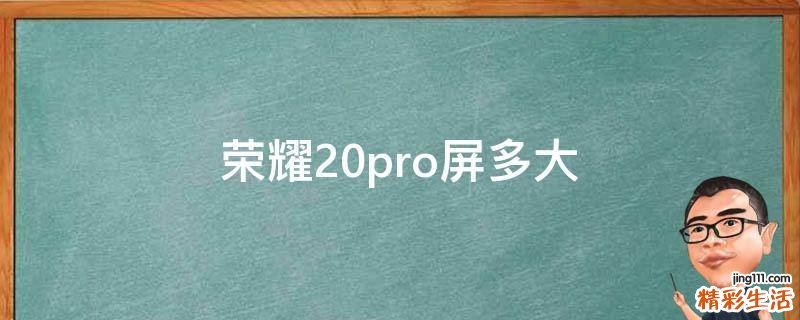 荣耀20pro屏多大