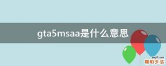 gta5msaa是什么意思
