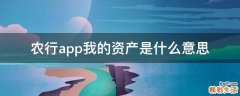 农行app我的资产是什么意思