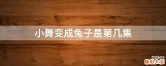 小舞变成兔子是第几集