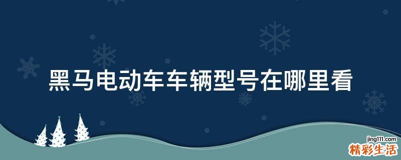 黑马电动车车辆型号在哪里看