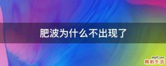 肥波为什么不出现了
