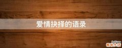 爱情抉择的语录