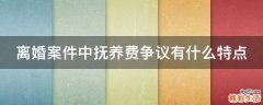 离婚案件中抚养费争议有什么特点