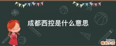 成都西控是什么意思