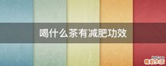 喝什么茶有减肥功效