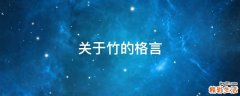 关于竹的格言