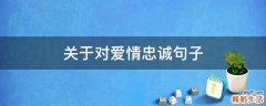 关于对爱情忠诚句子