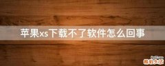 苹果xs下载不了软件怎么回事