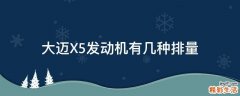 大迈X5发动机有几种排量