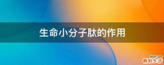 生命小分子肽的作用