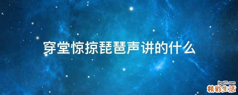 穿堂惊掠琵琶声讲的什么