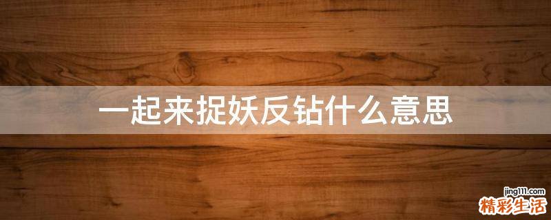 一起来捉妖反钻什么意思