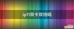 ip11双卡双待吗