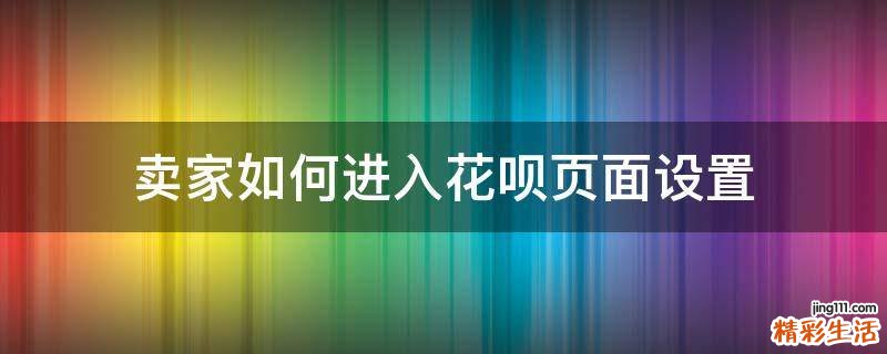 卖家如何进入花呗页面设置