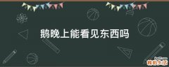 鹅晚上能看见东西吗