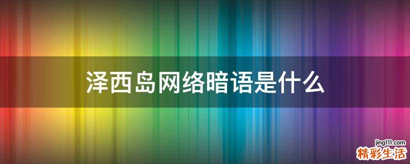 泽西岛网络暗语是什么
