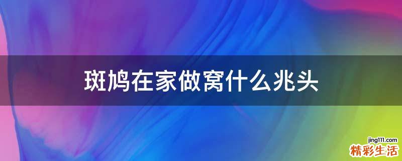 斑鸠在家做窝什么兆头