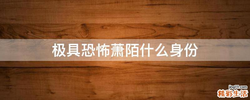 极具恐怖萧陌什么身份
