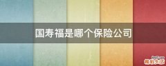 国寿福是哪个保险公司