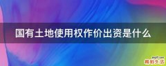 国有土地使用权作价出资是什么