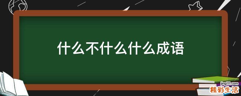 什么不什么什么成语