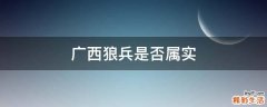广西狼兵是否属实