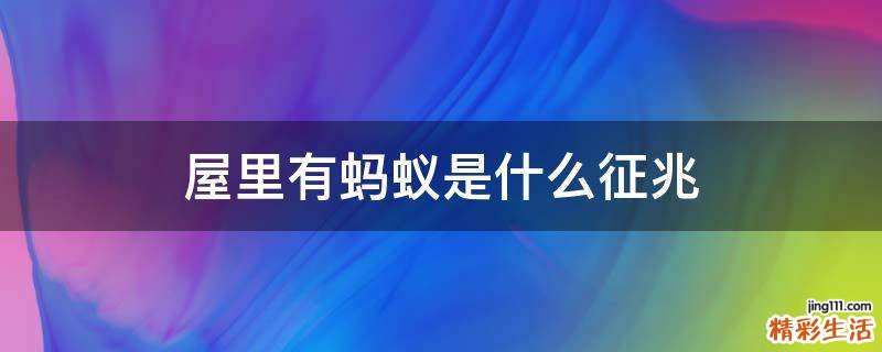 屋里有蚂蚁是什么征兆