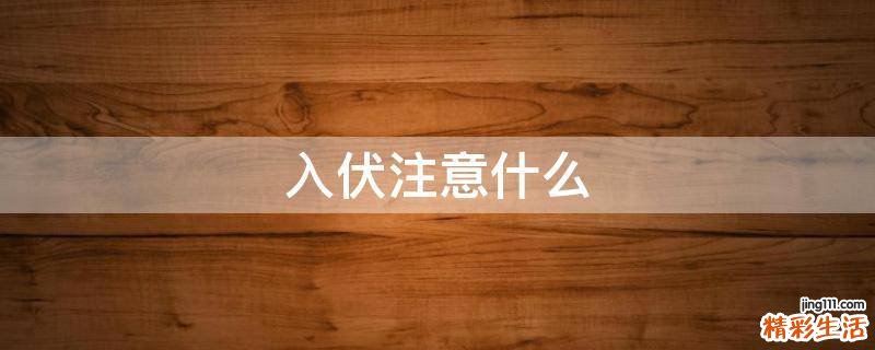 入伏注意什么