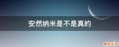 安然纳米是不是真的