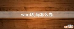 word乱码怎么办
