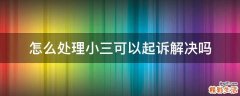怎么处理小三可以起诉解决吗