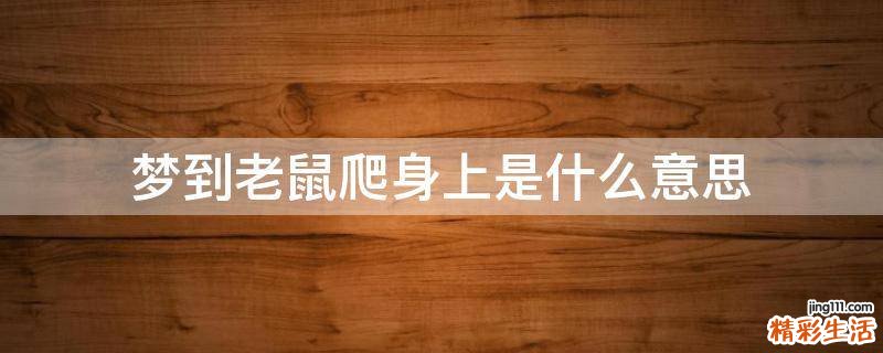 梦到老鼠爬身上是什么意思
