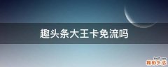 趣头条大王卡免流吗