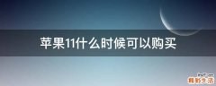 苹果11什么时候可以购买