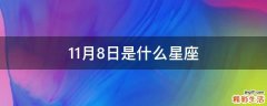 11月8日是什么星座