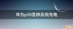 华为p30怎样反向充电