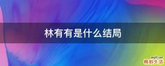 林有有是什么结局