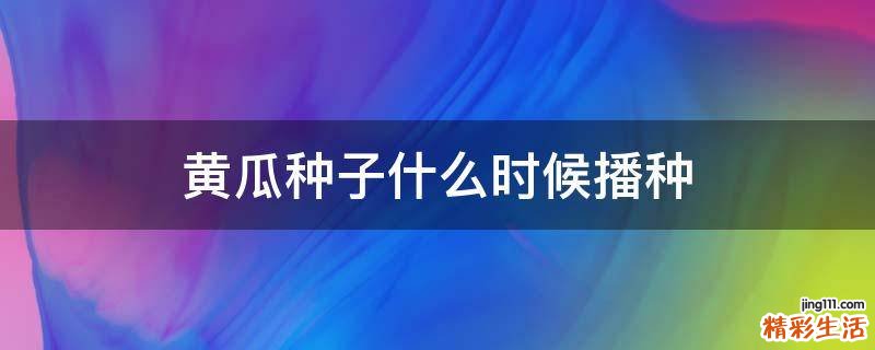黄瓜种子什么时候播种