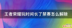 王者荣耀玩时间长了禁赛怎么解除