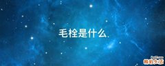 毛栓是什么