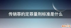 传销罪的定罪量刑标准是什么