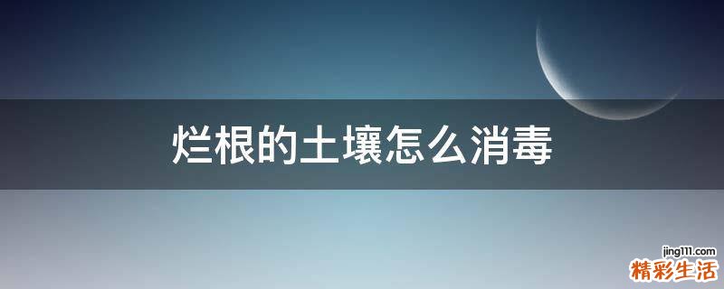 烂根的土壤怎么消毒