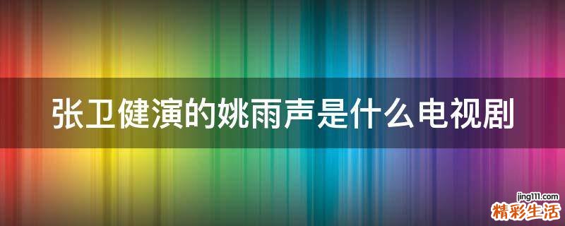 张卫健演的姚雨声是什么电视剧