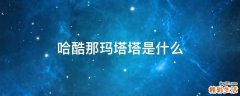 哈酷那玛塔塔是什么