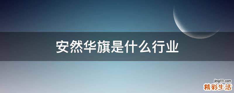 安然华旗是什么行业