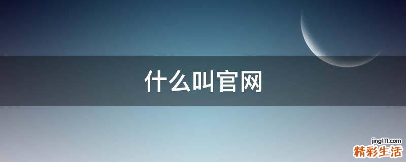 什么叫官网