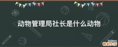 动物管理局社长是什么动物